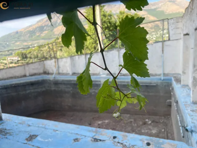Finca con casa  en Jaén — — 13