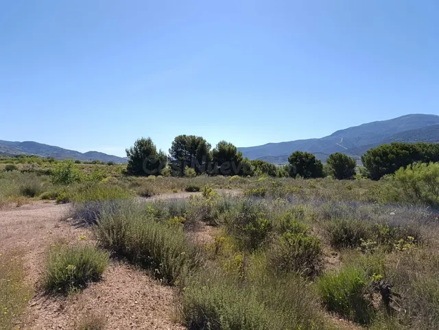 Terreno en venta - foto 4