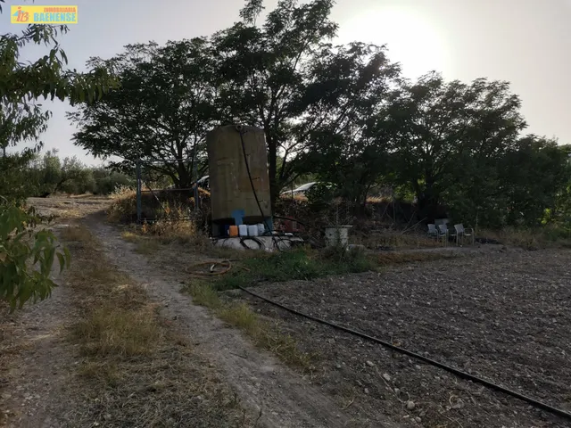 Huerta en venta — 3