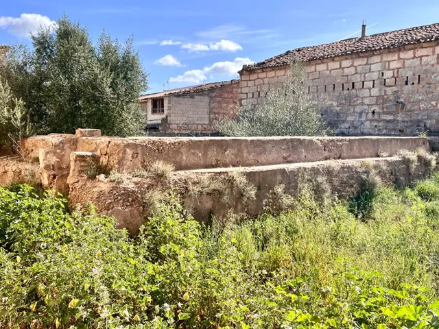 Solar en Sa Pobla — 7