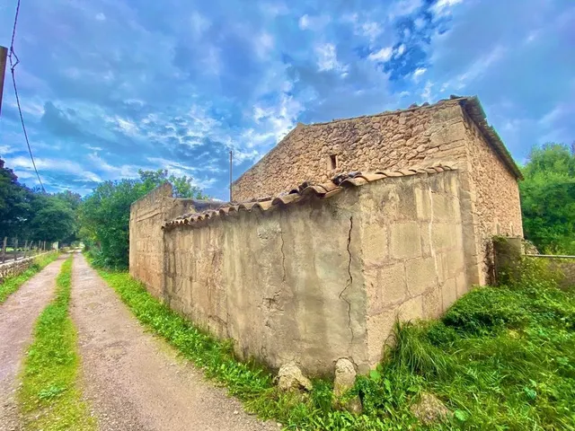 Finca rústica con caseta y 6000m2 para tus proyectos de campo — 5