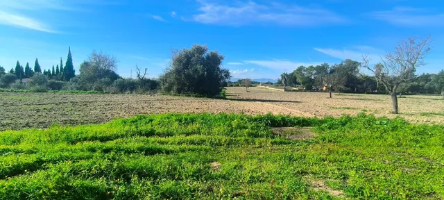 Proyecto de una casa de planta baja lujosa y piscina — 28