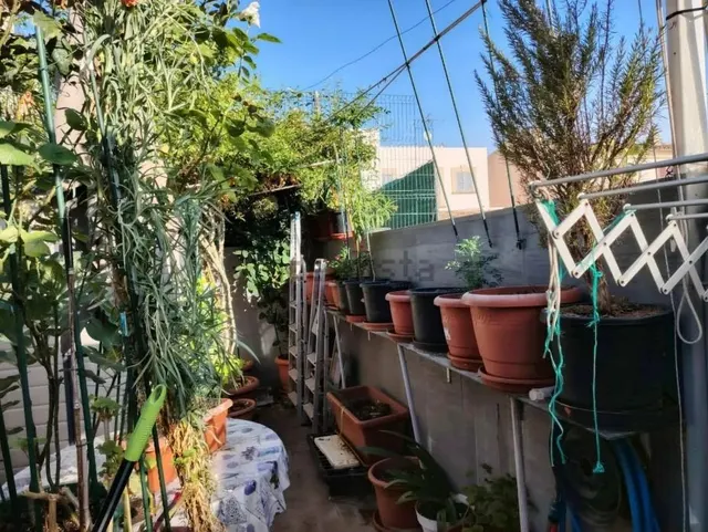 OPORTUNIDAD ÚNICA EN SON RAPINYA – PALMA DE MALLORCA — 33