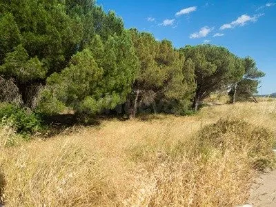 Terreno/s industrial/es de 800 m2 - foto 4