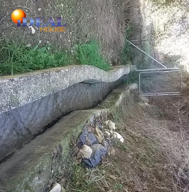 OLIVAR EN LA ZUBIA DE 3.597 M2 — 15