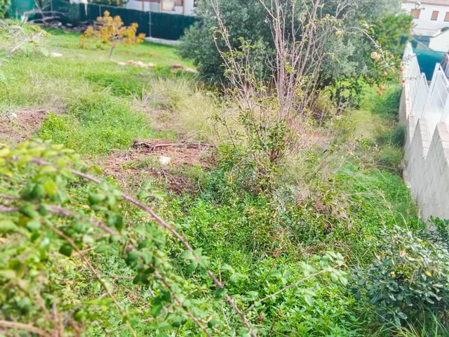 OCASIÓN!!!!!!! FANTASTICA PARCELA URBANA LLANA EN EL RECTORET DE 520 M2 — 13