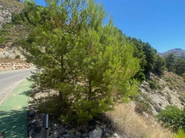 Vistas al mar, terreno en ALTEA para 1 chalet grande , en venta OPORTUNIDAD! — 7
