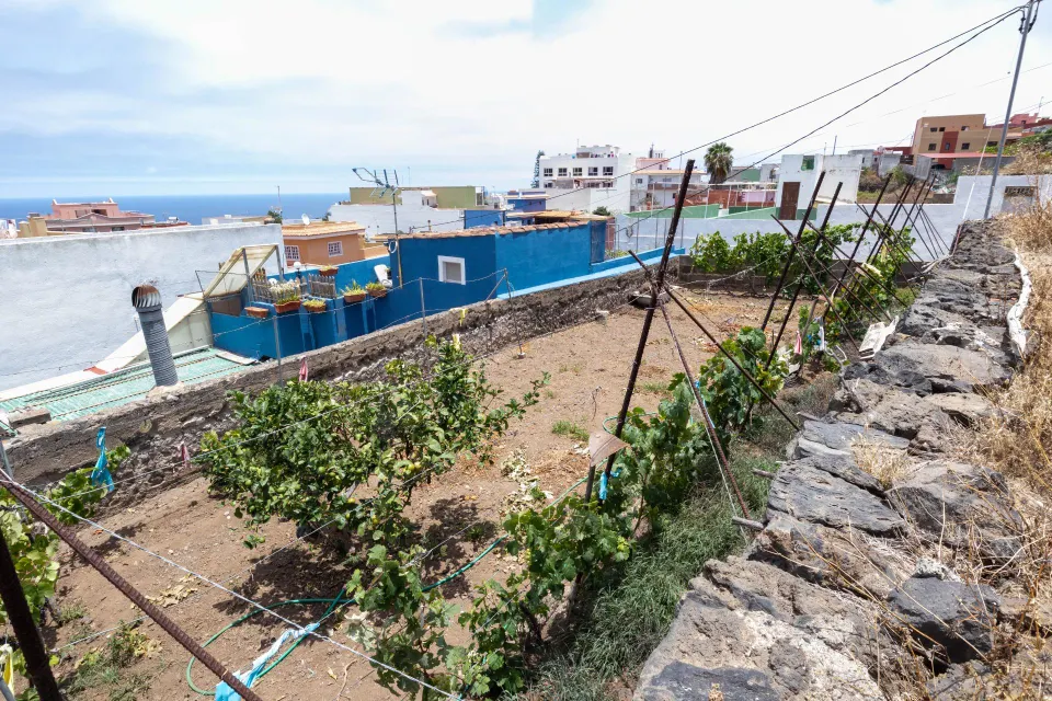 SOLAR EN EL EMPALME DE ICOD DE LOS VINOS