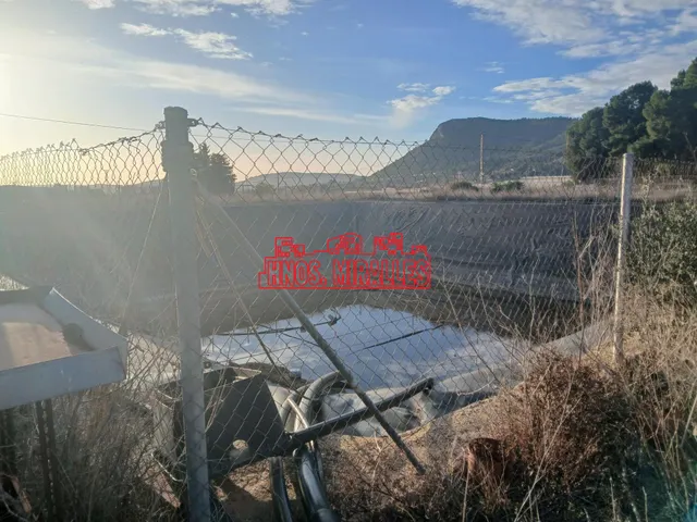 ¡¡ OCASIÓN INVERNADERO EN ASPE !! — 20