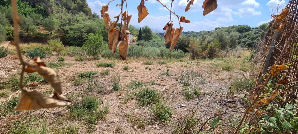 TERRENY EN VENDA