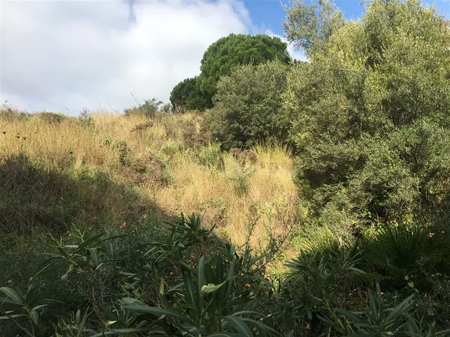 Parcela en venta - Riviera del sol - foto 5