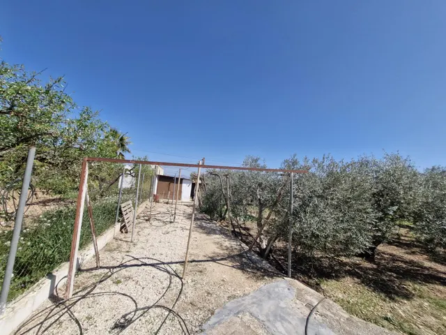CASA CON TERRENO EN HONDON DE LAS NIEVES — 30