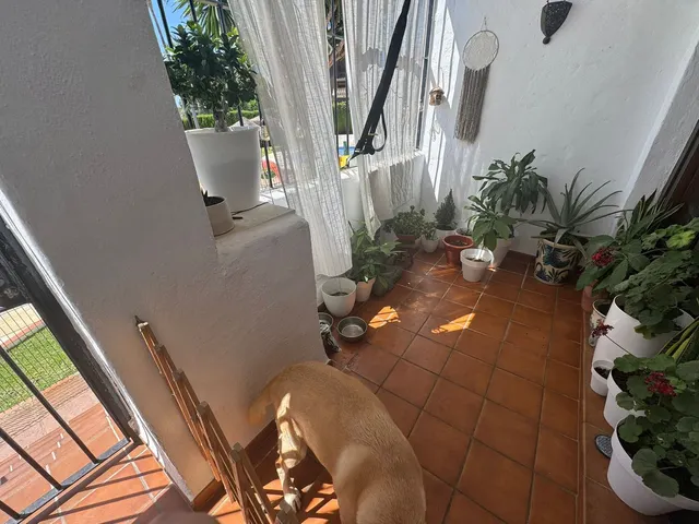 Dúplex 2 habitaciones 88m² en venta - Riviera del sol — 8