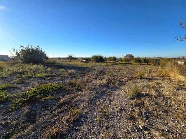 Parcela segregada de 3.353 m/2  en el marquesado – Chiclana de la Frontera — 10