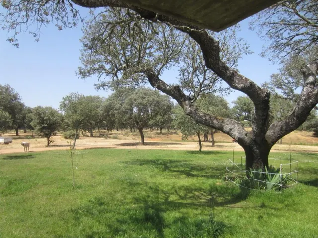 Espectacular finca rustica en Ciudad Rodrigo — 39