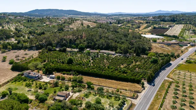 Finca rústica con vistas panorámicas y naranjos en producció