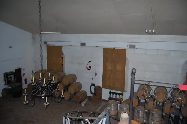 FINCA DE VIÑEDOS — 9