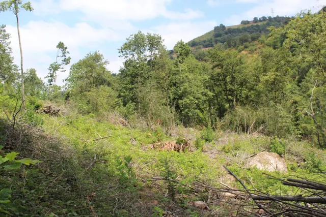 CASERIO CON TERRENO EN SUMBILLA — 21