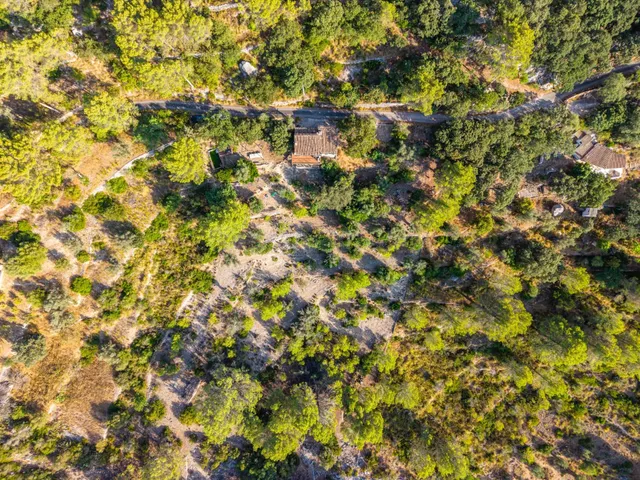 Finca rústica en plena Serra de Tramuntana Puigpunyent — 48