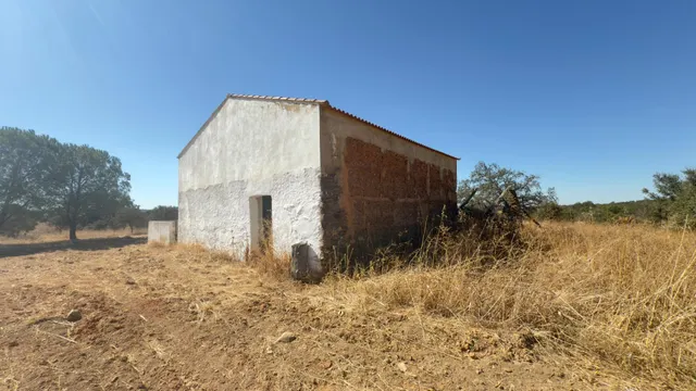 FINCA DE ENCINAR EN EL CERRO DEL ANDÉVALO — 2