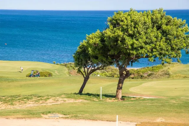 Dúplex en Alquiler en San Roque Cádiz — 50