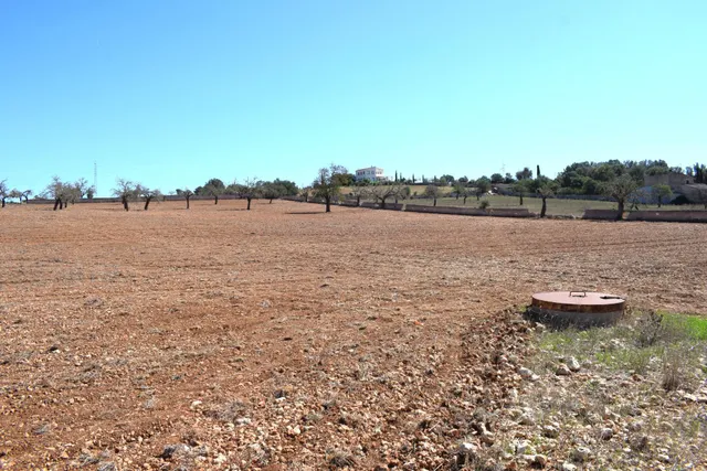 Finca rústica con posibilidad de vivienda en Ariany — 16