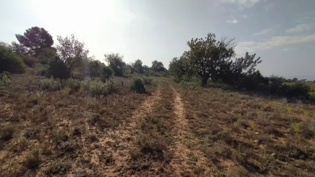 Se vende terreno de secano en Llíria. / HH Asesores, Inmobiliaria en Burjassot/ — 3