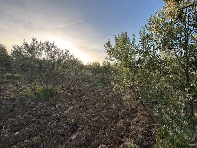 TERRENO RURAL EN VENTA - foto 4