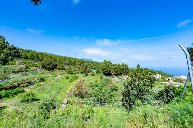 Finca con vivienda y viñedos en Icod de los Vinos — 5