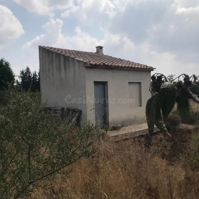 FINCA RÚSTICA CON CASITA DE APEROS - foto 3