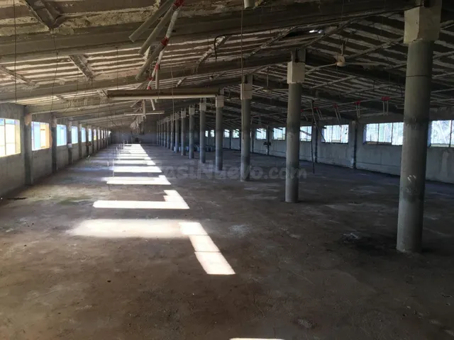 Gran oportunidad agrícola en Ulldecona: Finca rústica con gr - foto 5