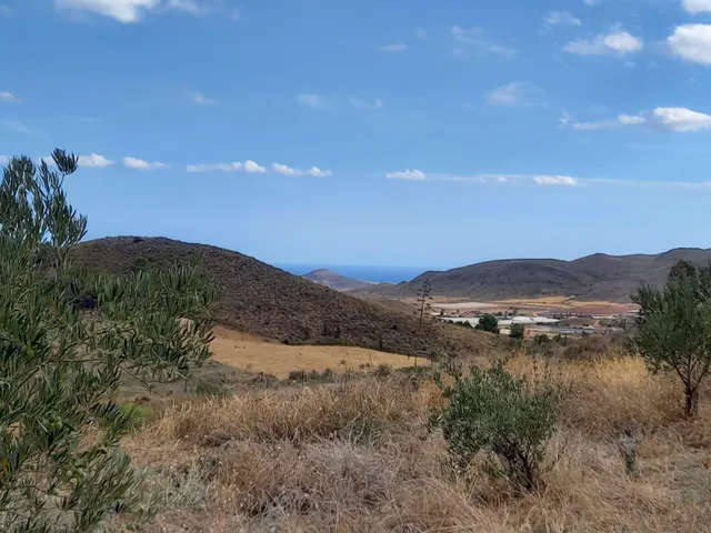 Refugio único con 3 viviendas, olivar y energía solar – Costa Cálida, Murcia — 27