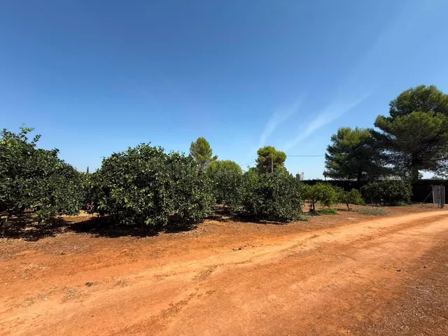 Terreno rural en venta - Andalucia - foto 2