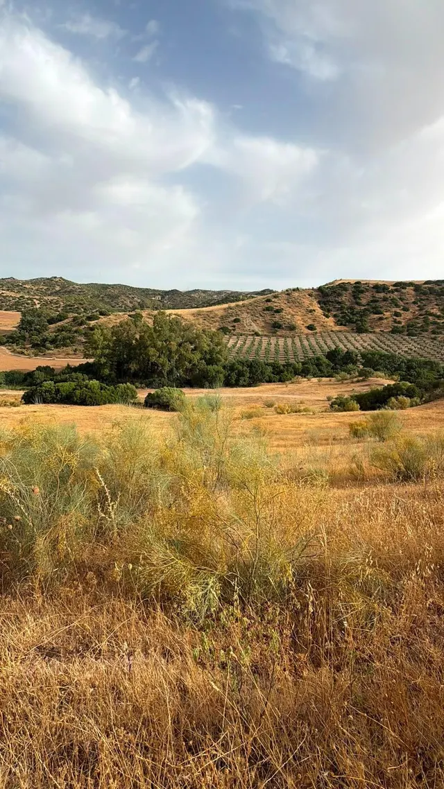 Terreno Rústico de 35 fanegas en FINCA LA SERENA! — 25