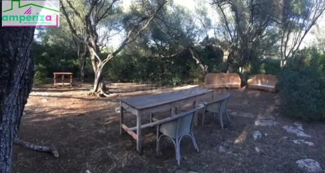 ¡Oportunidad única en Felanitx! Terreno rústico de 61.000 m2