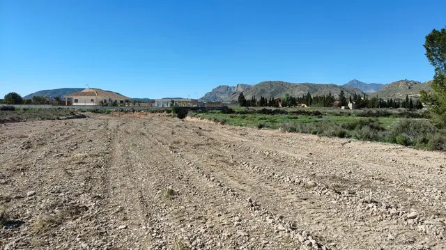 Parcela en venta - Abanilla - foto 3