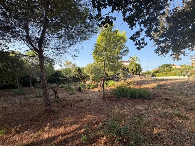 Parcela Urbana de 423 m2 en Zona Tranquila de Roses – Ideal  - foto 5