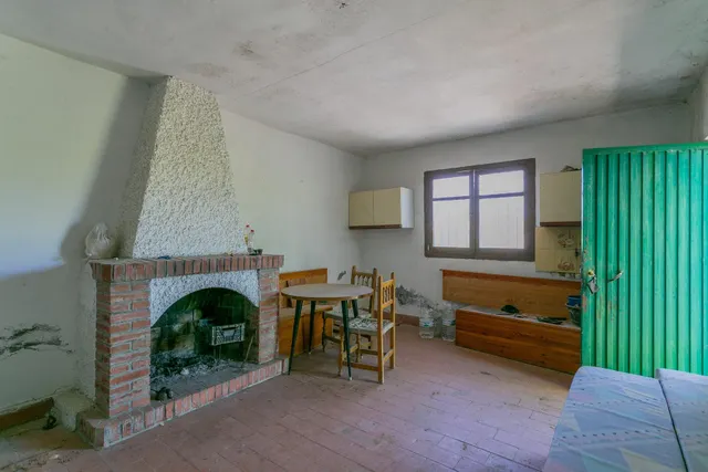 "¡Vive la vida en el campo! Terreno con casa de aperos y cultivos de olivos y frutales en ve — 9