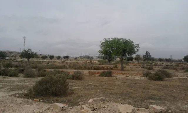 SE VENDE O ALQUILA TERRENO CON CASA PARA REFORMAR , 25.000 M