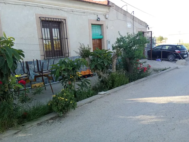 Finca Rústica con Casa para Reformar en Orihuela - foto 4