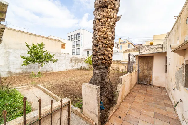 Céntrico solar de 466m2 en Cala Ratjada — 5