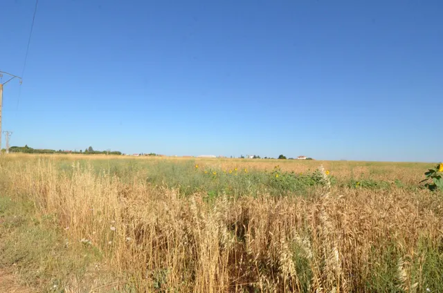 Urbis te ofrece un terreno en venta en Castellanos de Villiquera, Salamanca. — 2