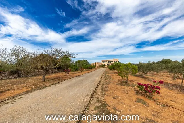 Exclusiva villa cerca de Ses Salines - foto 5