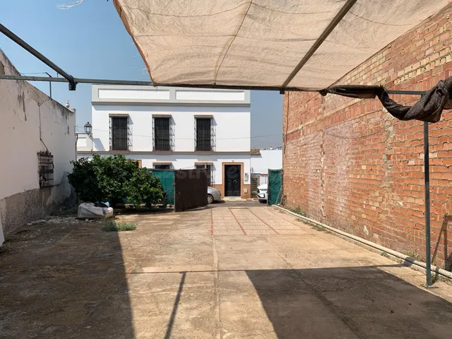 MAGNIFICO SOLAR EN CANTILLANA (SEVILLA) - foto 4