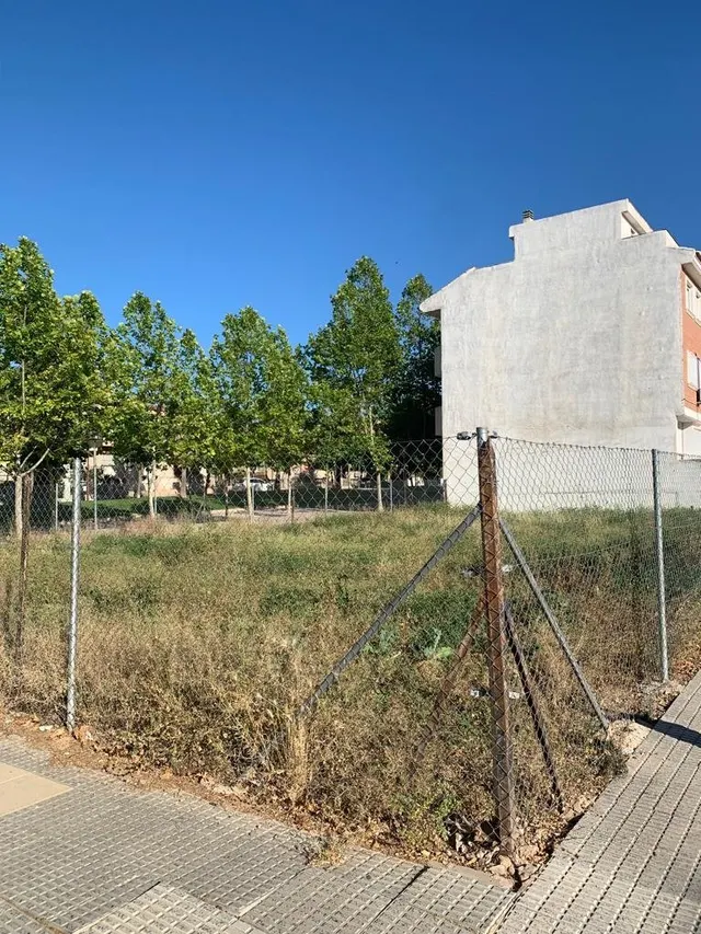 Solar de 423 m2 en El Palmar — 7