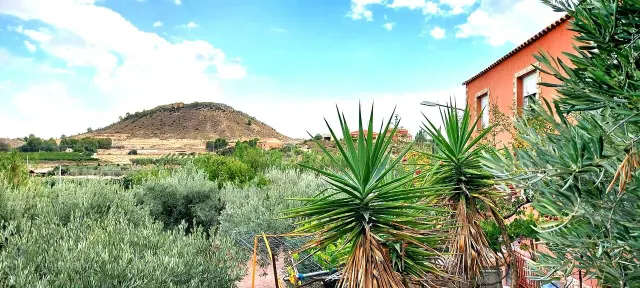 Villa 3 habitaciones 800m² en venta - Rincón de Seca — 36