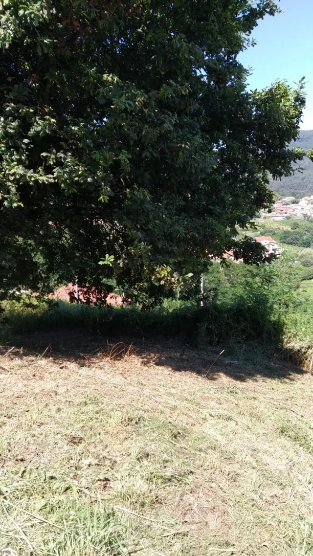 Terreno urbano edificable — 2
