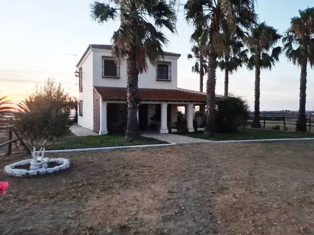 Espectacular finca de 19.000 m2 con 2 casas en Moguer (Huelva) — 16