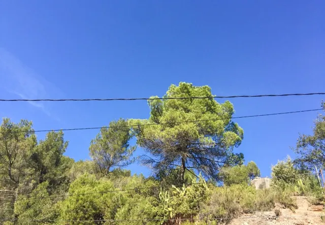 TERRENO URBANO EN RELLINARS DE 946 M2 - ZONA EL PLANET — 4