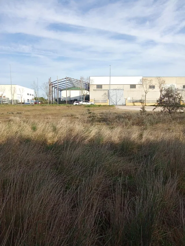 DOS PARCELAS INDUSTRIAL EN EL POLIGONO LAS ARENAS MALPARTIDA - foto 2